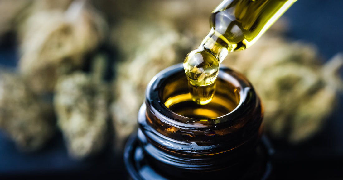 What is CBD? A Comprehensive Guide to Cannabidiol