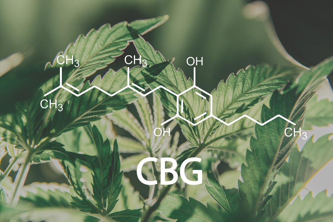 What is CBG?