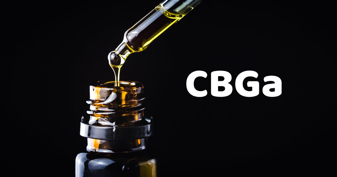 What is CBGa? The "Mother Cannabinoid"